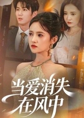 当爱消失在风中手机电影