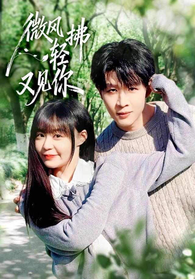 微风轻拂又见你手机电影