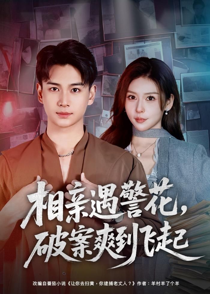 相亲遇警花，破案爽到飞起手机电影