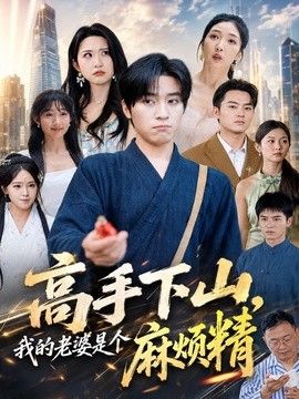 高手下山，我的老婆是个麻烦精手机电影