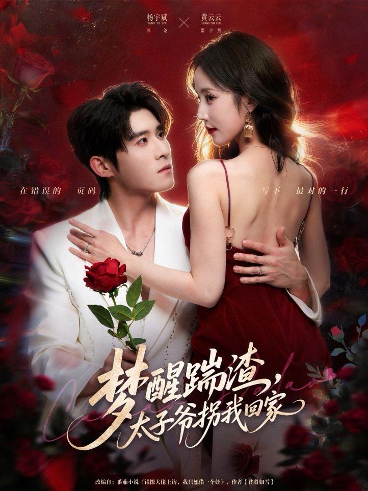 梦醒踹渣，太子爷拐我回家手机电影