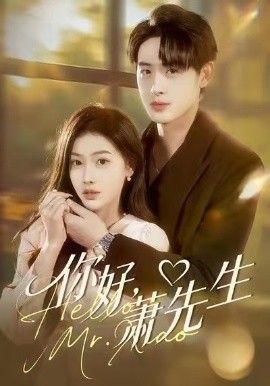 你好，萧先生手机电影