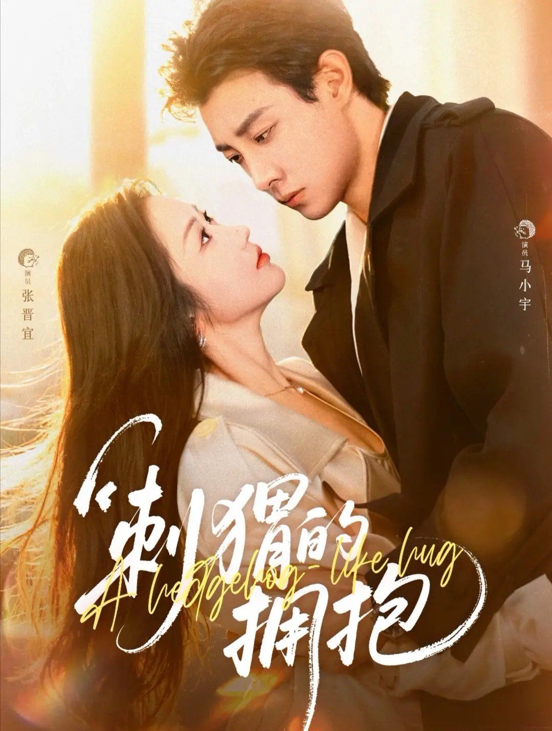 刺猬的拥抱手机电影