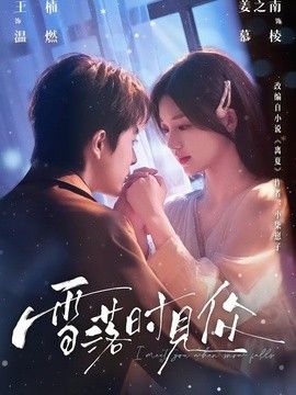 雪落时见你手机电影