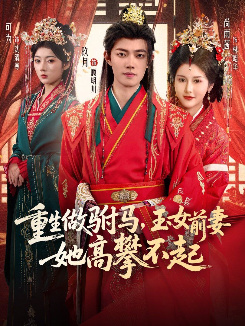 重生做驸马，玉女前妻她高攀不起手机电影