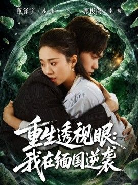 重生透视眼：我在缅国逆袭手机电影