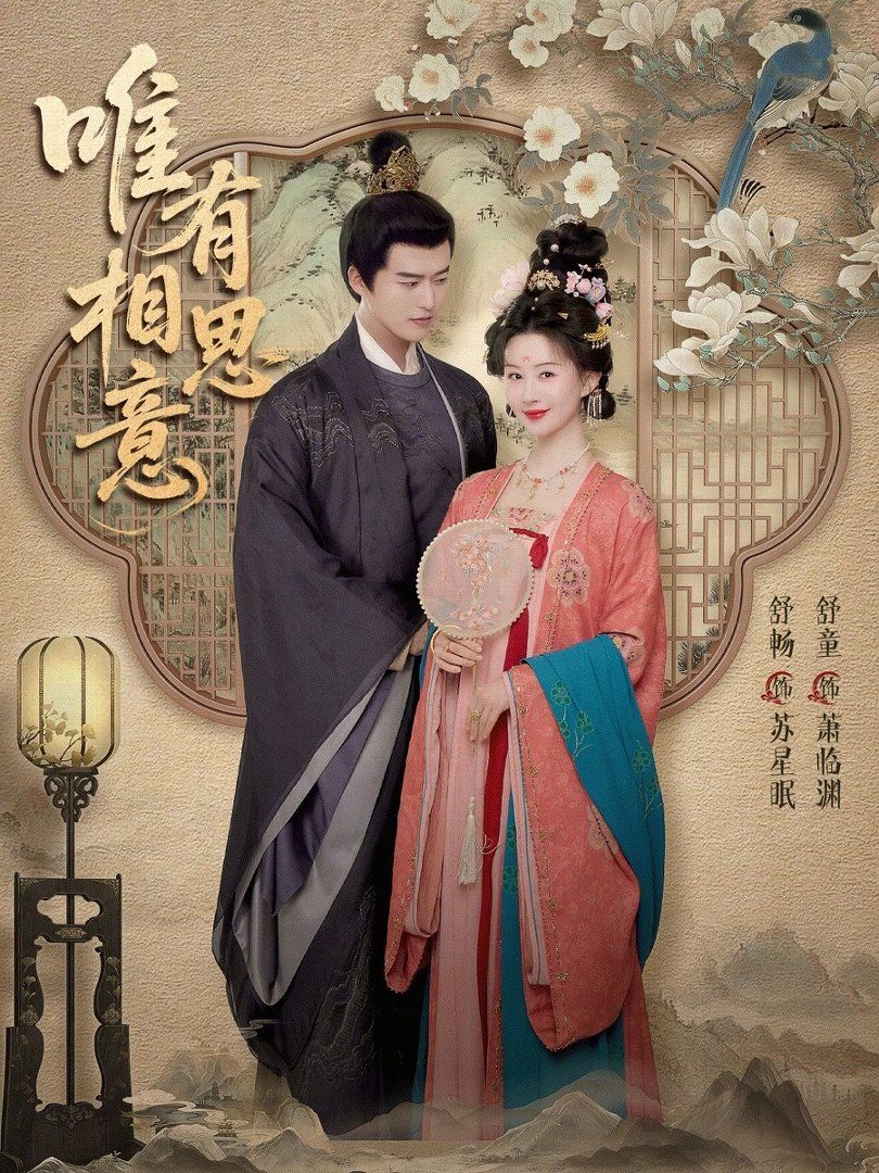 唯有相思意手机电影