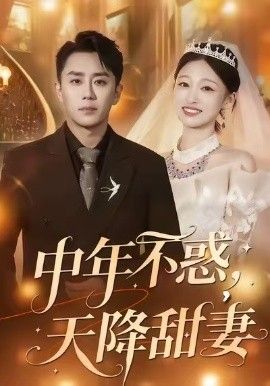 中年不惑，天降甜妻手机电影