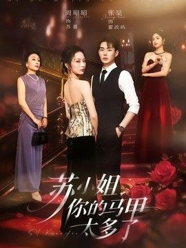 苏小姐，你的马甲太多了手机电影