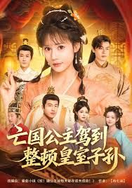 亡国公主驾到，整顿皇室子孙手机电影