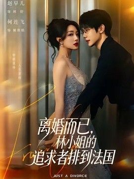 离婚而已，林小姐的追求者排到法国手机电影