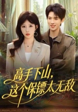 高手下山，这个保镖太无敌手机电影