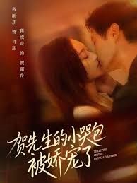 贺先生的小哭包被娇宠了手机电影