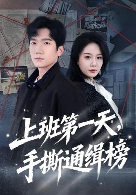 上班第一天，手撕通缉榜手机电影