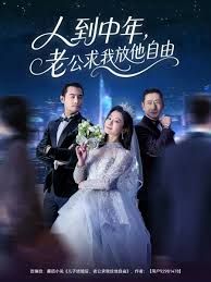 人到中年，老公求我放他自由手机电影