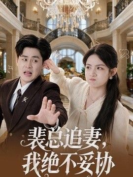 裴总追妻，我绝不妥协}