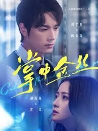 掌中金丝（长姐她竟是隐藏大佬）手机电影