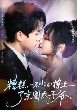 糟糕，一不小心撩上了京圈太子爷手机电影