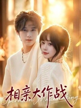 相亲大作战手机电影