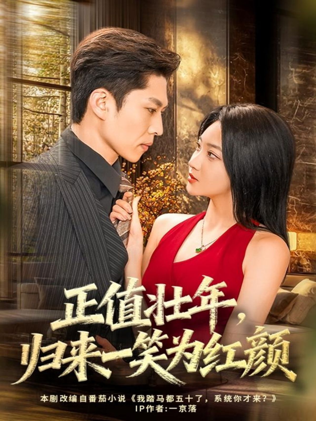 正值壮年，归来一笑为红颜手机电影