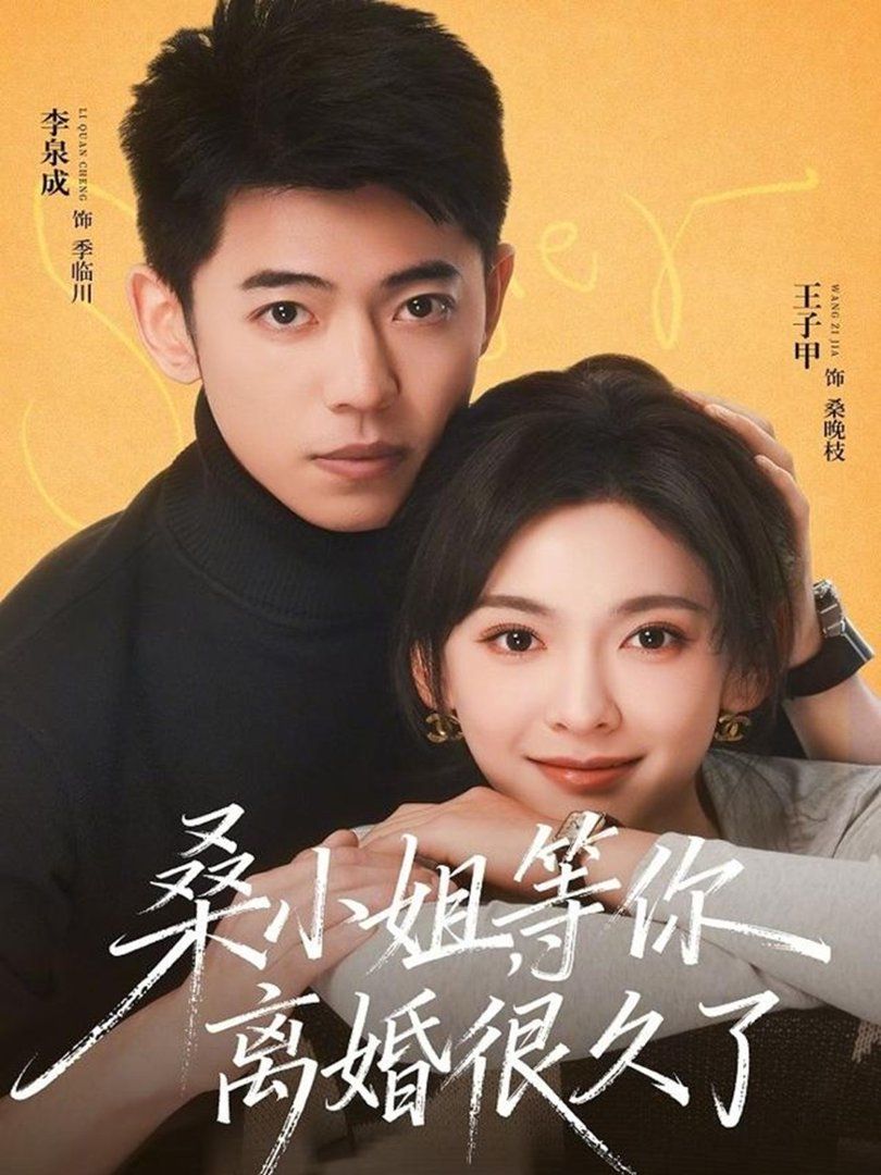 桑小姐等你离婚很久了