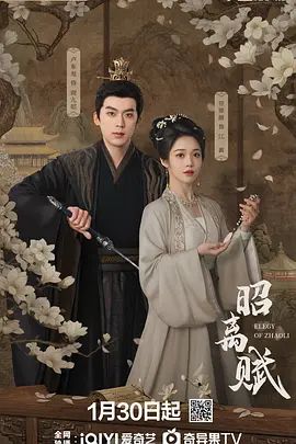 昭离赋手机电影