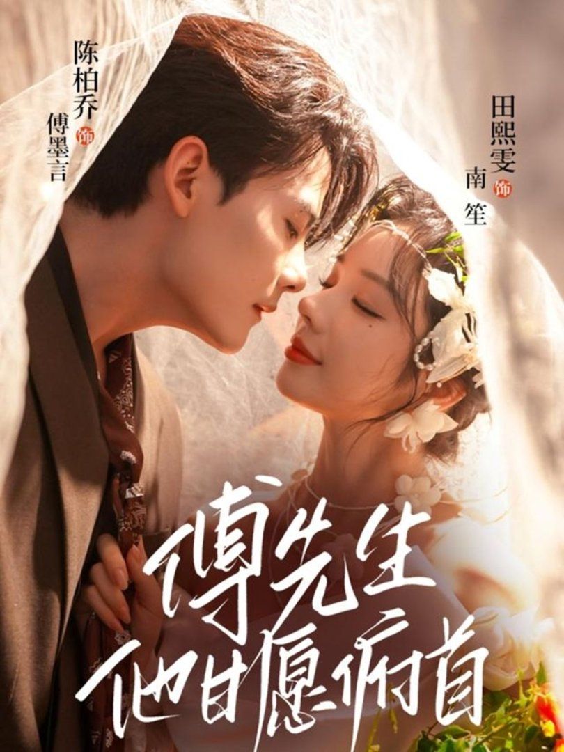 傅先生他甘愿俯首手机电影