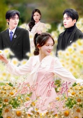 海风替我说再见手机电影