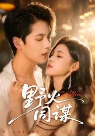 野火同谋手机电影