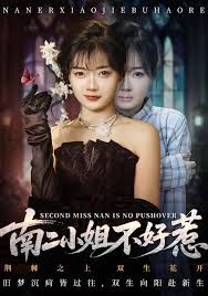 南二小姐不好惹手机电影