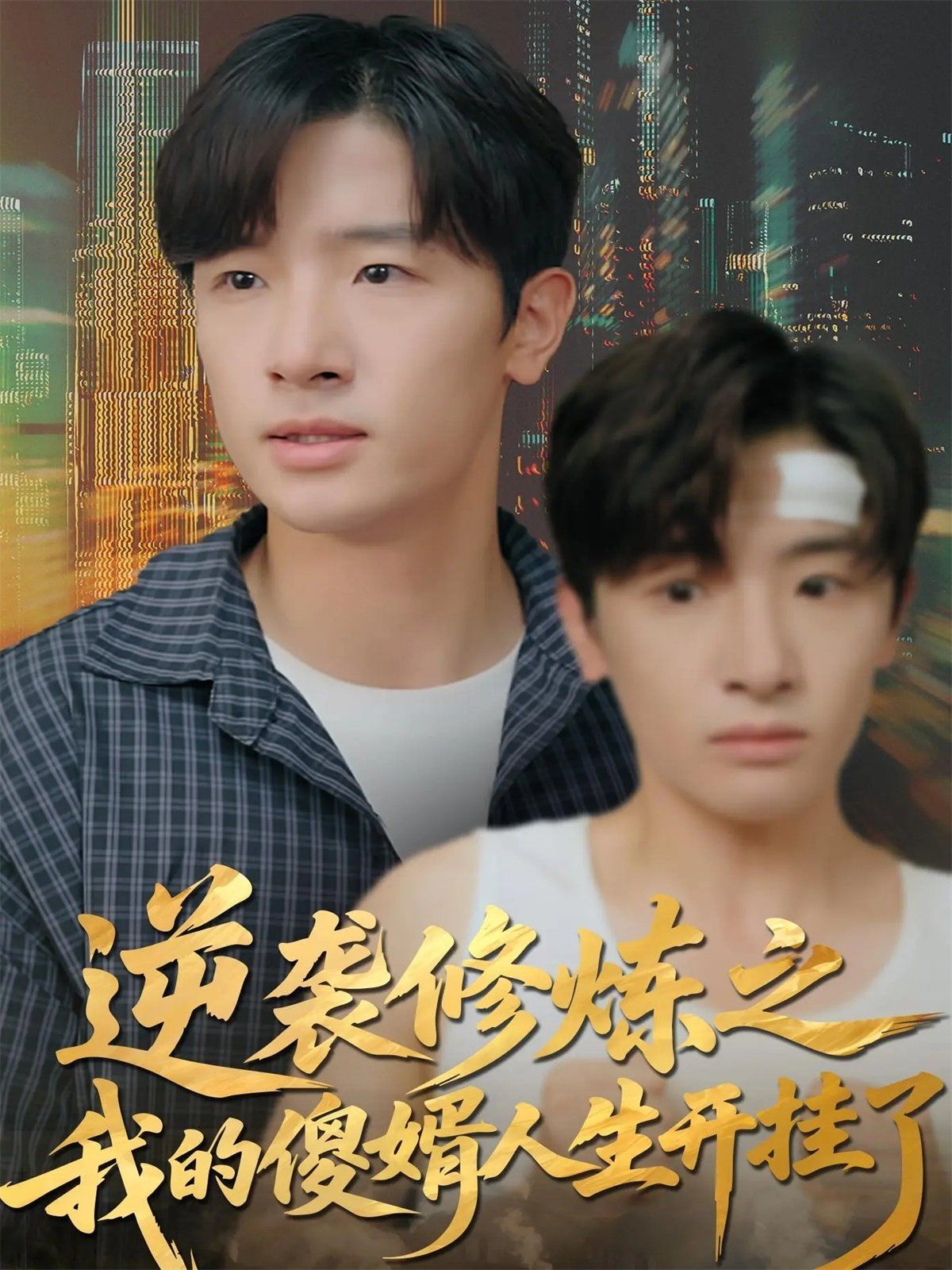 逆袭修炼之我的傻婿人生开挂了手机电影