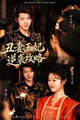 丑妻王妃逆袭攻略手机电影