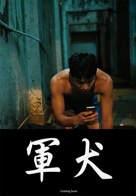 2018剧情片《军犬》迅雷下载_中文完整版_百度云网盘720P|1080P资源