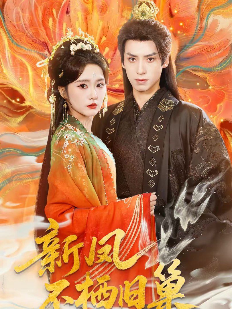 新凤不栖旧巢手机电影