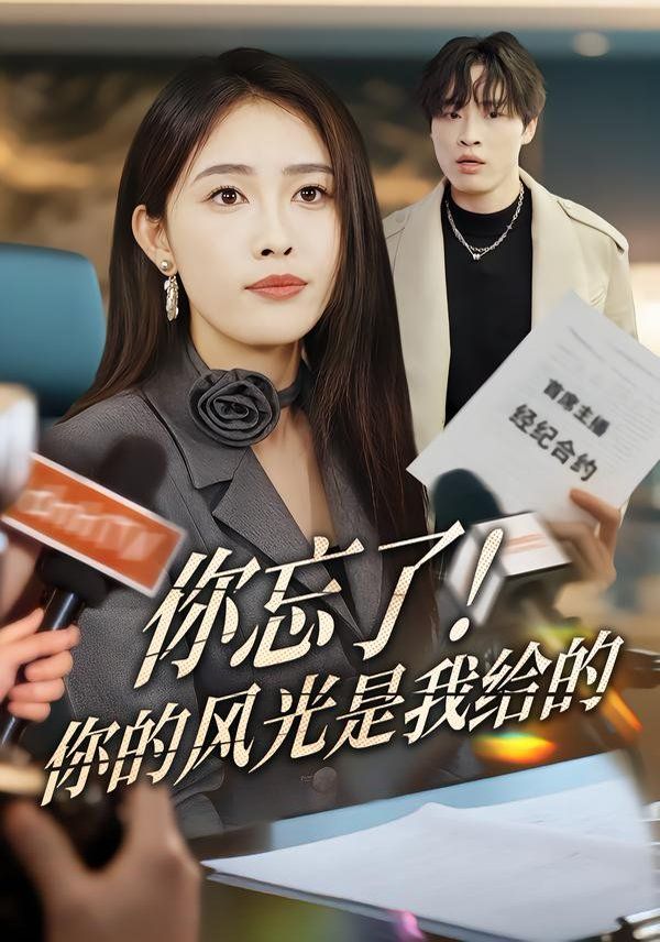 你忘了！你的风光是我给的手机电影