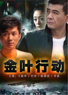 2018国产剧《金叶行动》迅雷下载_中文完整版_百度云网盘720P|1080P资源