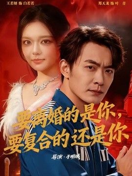 要离婚的是你，要复合的还是你}