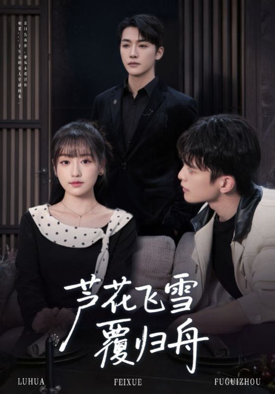 芦花飞雪覆归舟手机电影