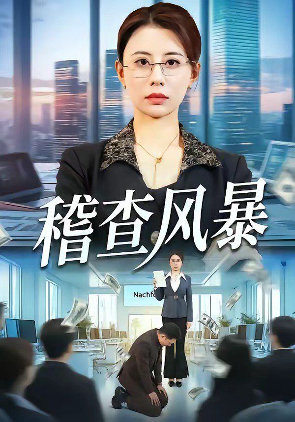 稽查风暴手机电影