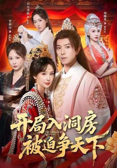 开局入洞房，被迫争天下手机电影