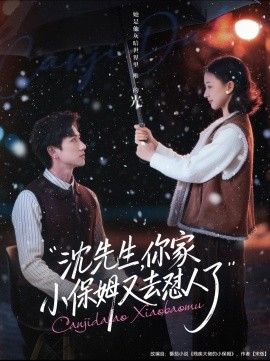 沈先生，你家小保姆又去怼人了手机电影