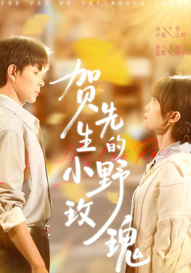 贺先生的小野玫瑰手机电影