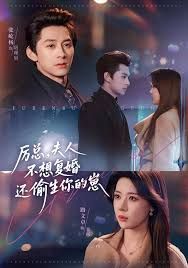 厉总，夫人不想复婚还偷生你的崽手机电影