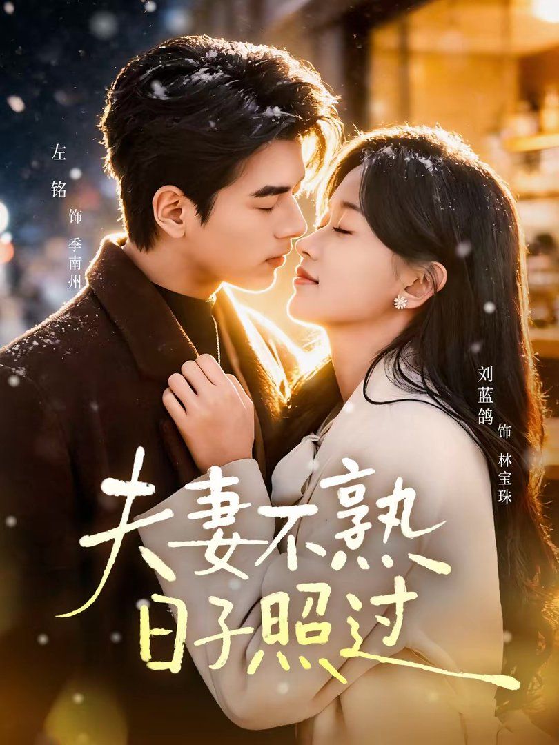 夫妻不熟，日子照过手机电影