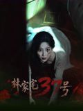 林家宅37号手机电影