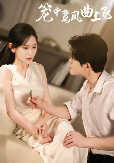 笼中鸾凤曲上飞手机电影