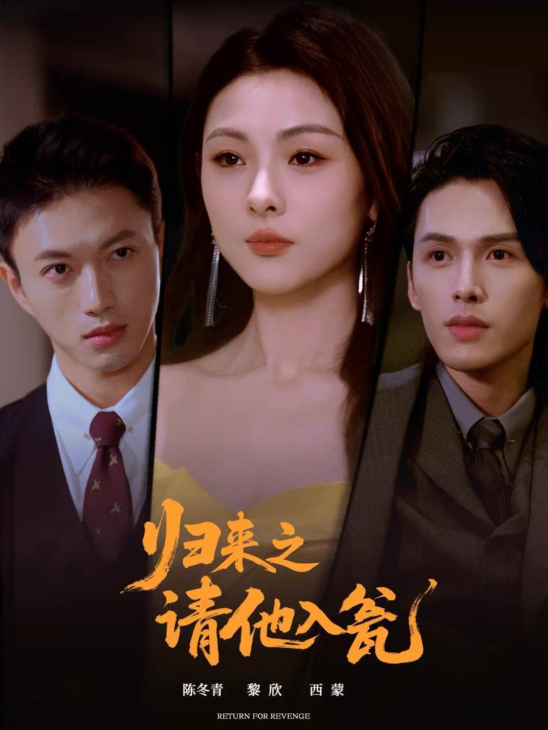 归来之请他入瓮手机电影