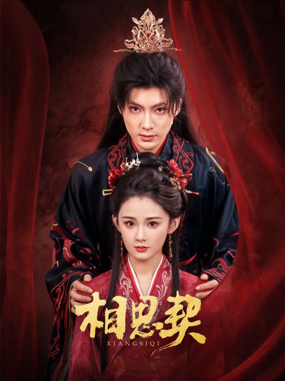 相思契手机电影