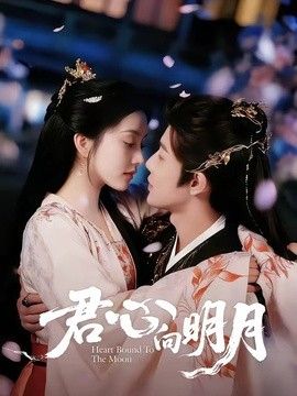 君心向明月手机电影