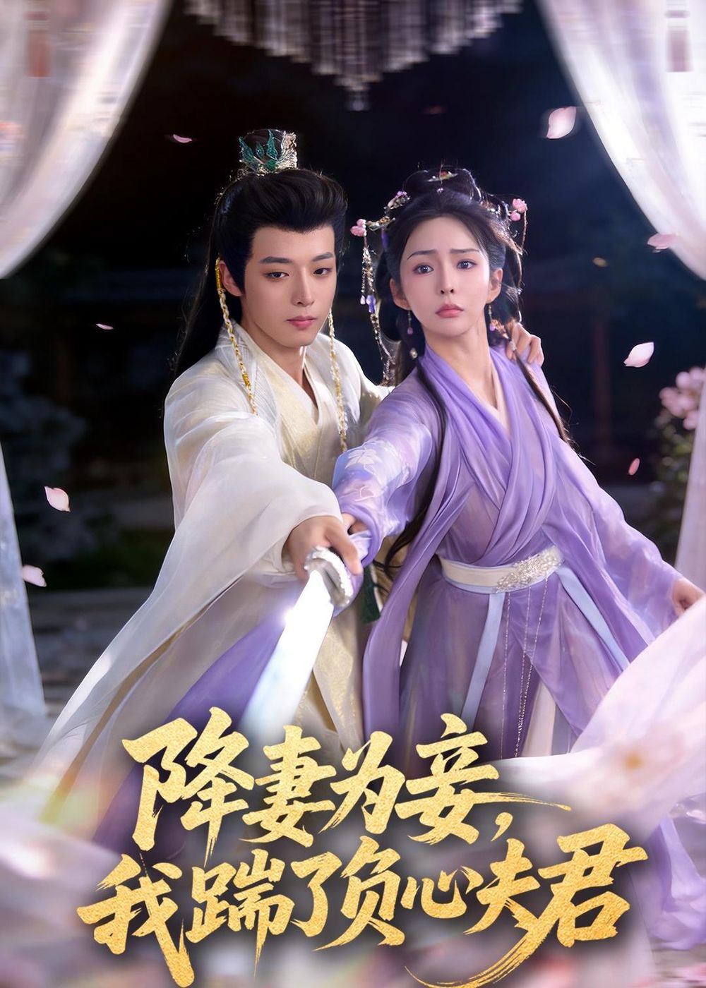 降妻为妾，我踹了负心夫君手机电影